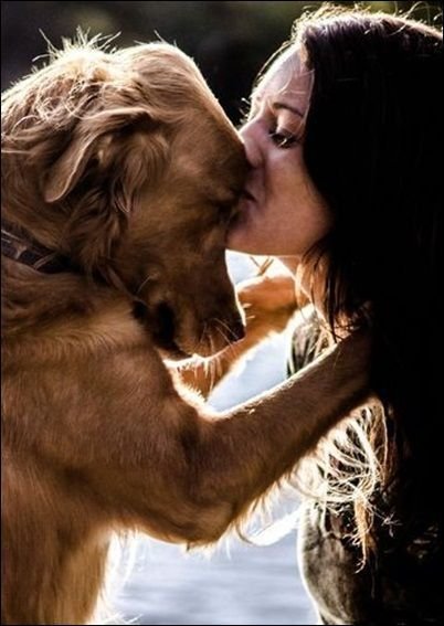 สุนัขชอบการจูบ